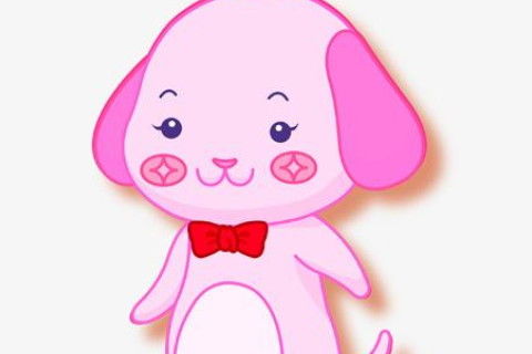 2026年属狗男性运势如何，具体运势分析是怎样的？