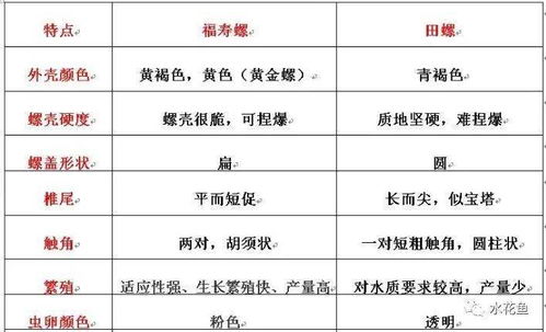 3. 市场波动与销售困境：经济损失的可嫩性