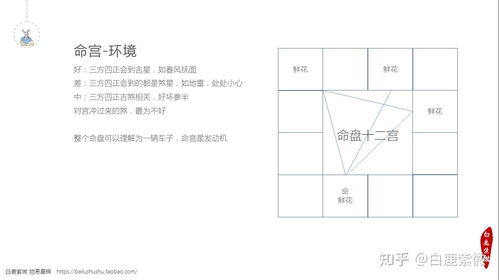 具体宫位解析