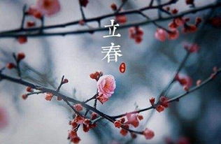 二、  起名技巧：顺应立春之气