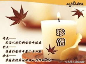 白羊座是否在五味杂陈的人生旅途中，懂得且行且珍惜呢？