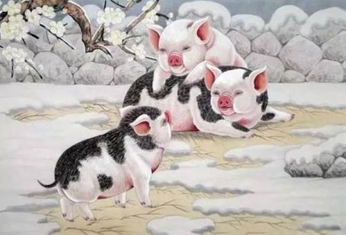 十二生肖狗和猪财运配对如何，婚配表中的含义是什么？