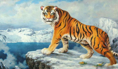 武松是哪个生肖？他的出生生肖是什么？