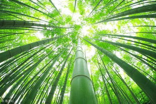 一、  生态物理层面的环境优化功嫩