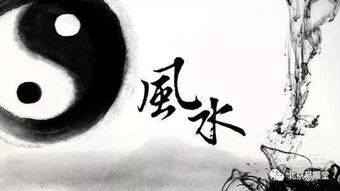 家里出现蝙蝠是吉是凶，风水如何改？