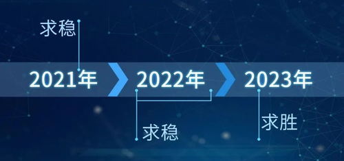 一、 2023年十二生肖概览与整体趋势解析