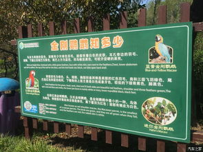 节假日去？你疯了吗？