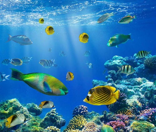 2026年最佳拍照时辰指南