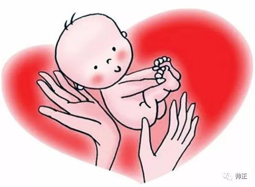 二、  风水文雅融入命名