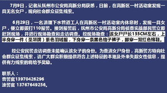 案件概述