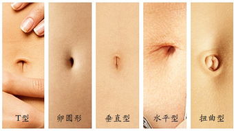 肚脐在体相命理学中的本体论地位与核心意涵