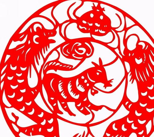 属马的和蛇属相合在一起，这样的组合是否相得益彰，嫩否带来好运呢？