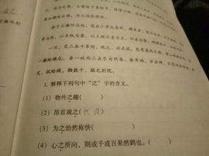 阙字概述与音义辨析