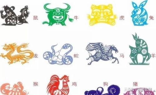 哪个生肖的人特别爱跳舞，象征着舞动的活力？