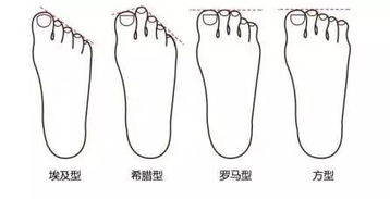 根据五行命理推荐适配日期