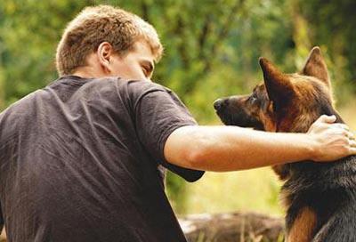 二、 家养犬种的风水功效分析