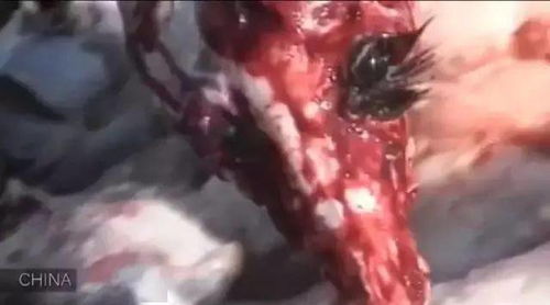 四、  因果溯源：创作者的执念与家族业力的传导