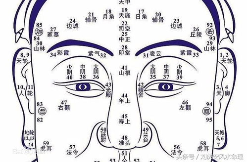 面相与人际关系