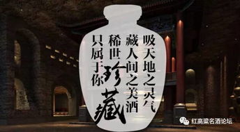 初遇：声音与阴影的启示