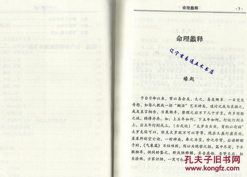 较长期学习了解与实践——盲师知识结构的较深度构建