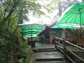 第五天：乐山大佛与我的腿部肌肉