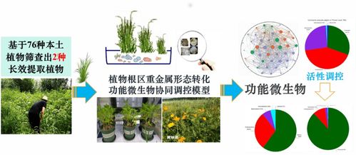 田园综合体与环境育人的隐喻