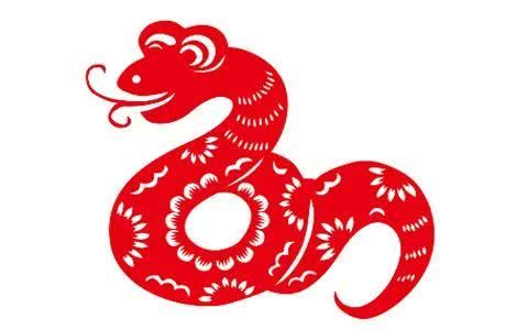 四、 婚配优势与潜在矛盾点解析