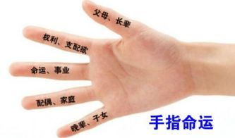 ：生理标记与文化隐喻的二元审视