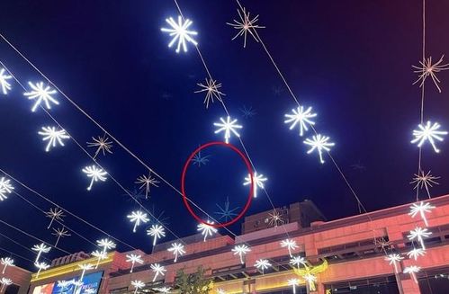 镜中倒影与灵魂投影：中国传统文化解读