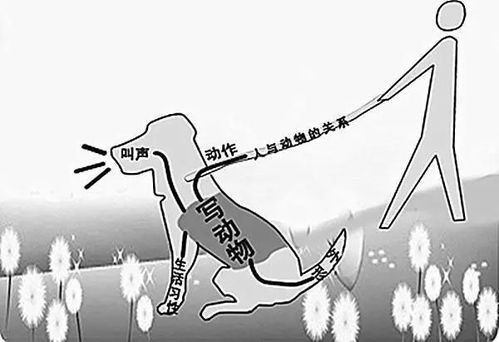案例解析：李浩然叔叔怎样取名？
