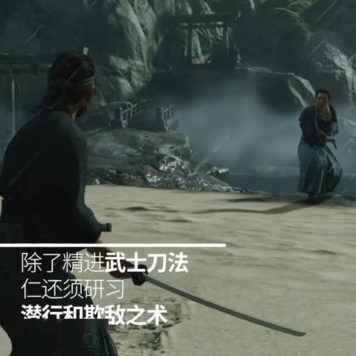 四、民国余晖下的爱国情怀：鲁迅精神与青年抉择