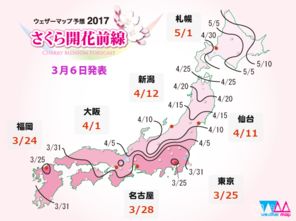 四、 综合评价：线路优势及潜在挑战
