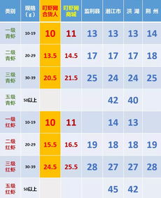 小运播报与红榜生肖解析