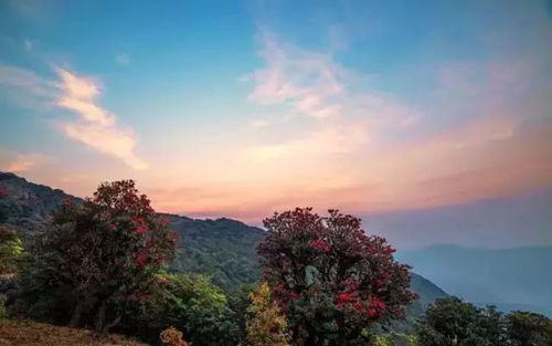 新平磨盘山：2026年黄历警告！不看你绝对后悔！