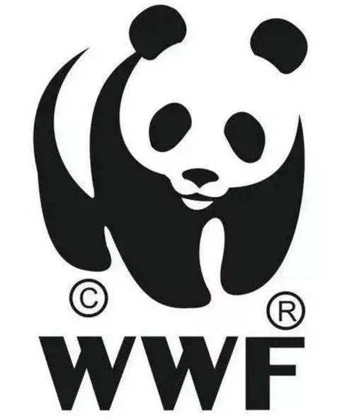 洋气点的商标名：高端大气上档次？真的吗？