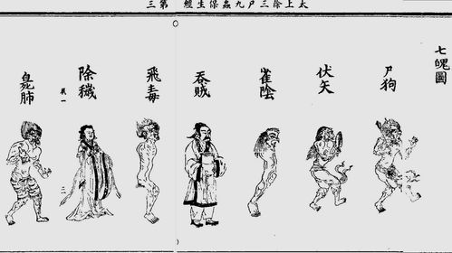 八字双丁贵人究竟蕴含着怎样的特殊寓意和象征意义？