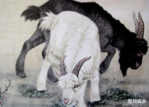 属羊的人能住18层吗？属马和属羊的人住几层楼房最吉利？