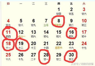 三、 综合考量后的最佳日期建议