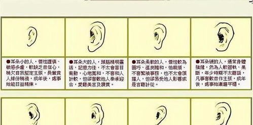 五、 心理学视角下软耳人格特质及其可塑性