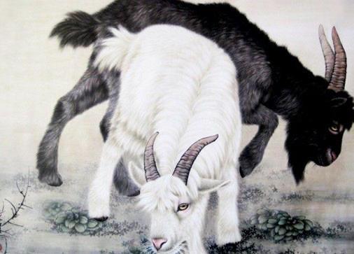 属马和属羊的性格急燥吗？羊vs马是什么性格对比？