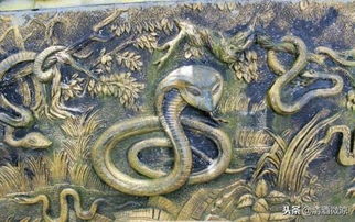 2026年属蛇每月感情运势具体是怎样的？