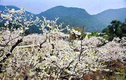 2026年最新交通攻略，看完想死！