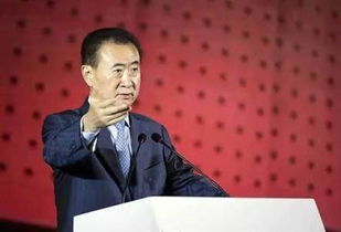 2026年王建林名字含义是什么？