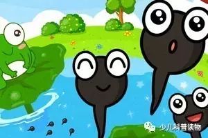 一、 熟悉的身影与突如其来的变故