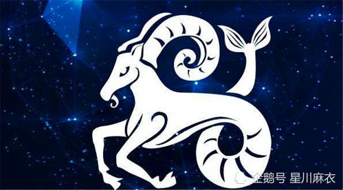 二、 财务运势详析