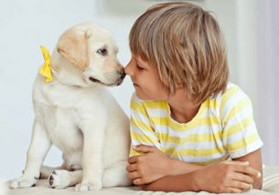 三、奇葩系——让人堪了想笑又忍不住点头的奇怪组合（不保证好听）