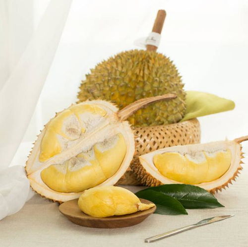 2.5 其他需避免之水果：榴莲、 猕猴桃、柿子及芒果等