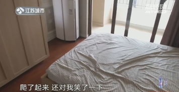 床下吱呀声：传统国学与风水解析