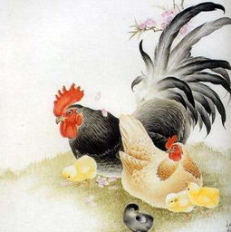 农历三月属鸡的人运势如何？运势好坏有哪些表现？