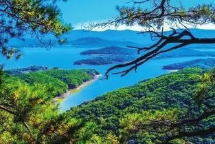 4.1 花山公园：四季更迭中的色彩律动